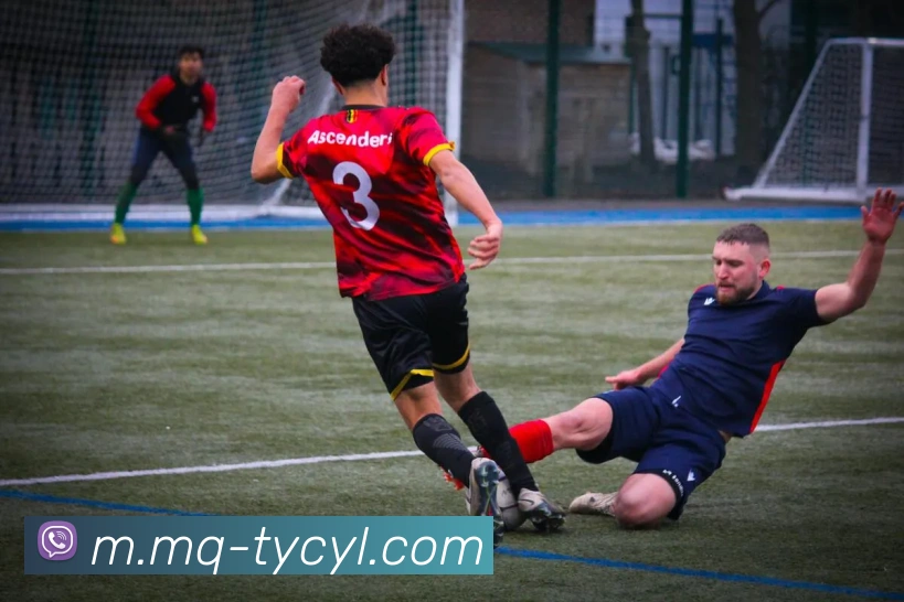 多媒体互动体验